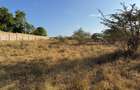 108 ac Land at Kilifi Plantation - 10