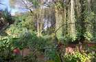 1 ac Land in Lavington - 6