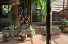 4 Bed House with En Suite in Muthaiga - 9