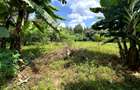 0.5 ac Land in Muthaiga - 1