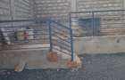 3 Bed House with En Suite in Ngong - 6