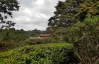 5 Bed House with En Suite at Thigiri Ridge - 13