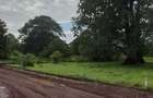Land in Vipingo - 14