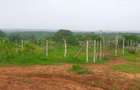 21 ac Land at Mavueni Mariakani Northern By - Pass Road - 16