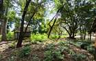 4 ac Commercial Land at Mirema Drive - 7