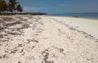 20 ac Land at Kikambala Beach - 1