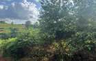 25 ac Land in Kitisuru - 3