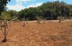 Land at Near Munarani - 3