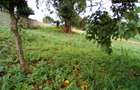 Land at Red Hill Rd - 2