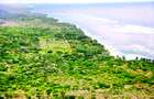 167.5 ac Land at Kuruwitu Beach - 12