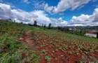 Land at Kibiko - 10