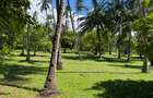 3.9 ac Land at Kikambala Beach - 16