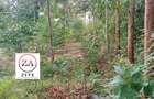 0.125 ac Land at Kasphat Estate - 6