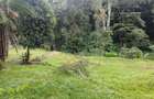 7 Bed House with En Suite at Muthaiga - 11