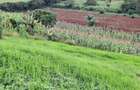 1 ac Residential Land at Tigoni - 8