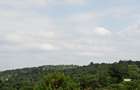 5,000 m² Land at Kilimambogo - 8