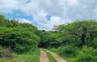 Land at Vipingo Kuruwitu Beach - 2