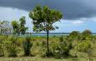 10 ac Land at Diani - 5