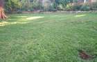 5 Bed Townhouse with En Suite in Kitisuru - 19