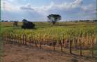 Land in Narok - 3