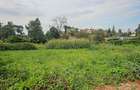 0.365 ac Land at Mushroom Road - 9