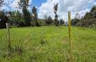 0.125 ac Land at Matasia - 2