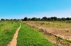 Land at Vipingo - 10