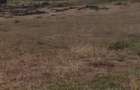 Land at Tala- Nguluni - 3
