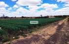 20 ac Commercial Land in Kisaju - 1