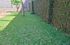 2 Bed Apartment with En Suite at Off Runda Grove - 4