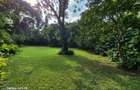 4 Bed House with En Suite at Spring Valley - 17