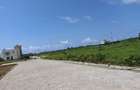 Residential Land in Nyali Area - 4