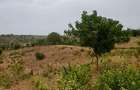 Land in Kilifi - 6