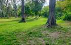 3.9 ac Land at Kikambala Beach - 4