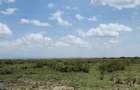 8 ac Residential Land at Nanyuki - 3