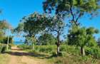 1,012 m² Land at Kikambala Beach - 3