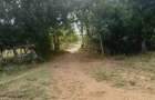 Land in Kilifi - 9