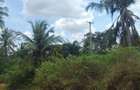 6 ac Land at Msambweni - 4