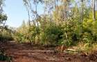 Land at Malindi Mombasa Road - 1