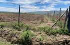 10 ac Land at Suswa - 2