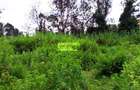 0.64 ac Residential Land in Thindigua - 2