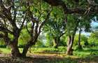 4 ac Land at Serena - 12