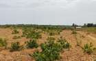 Land in Kilifi - 10