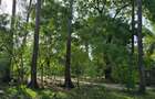 1 ac Land at Kikambala - 10
