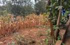 0.25 ac Land in Nyeri - 8