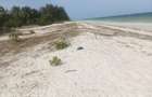 3.2 ac Land at Galu Beach - 4