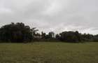 2 ac Land in Ongata Rongai - 10