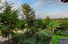 4 Bed House with En Suite at Kiserian Isinya Road - 15
