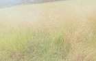 Land in Karen - 7