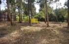 Land in Limuru Town - 5